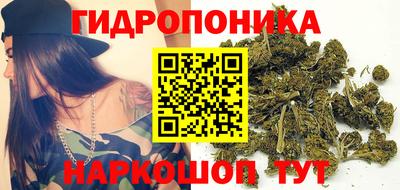 индика Малоярославец