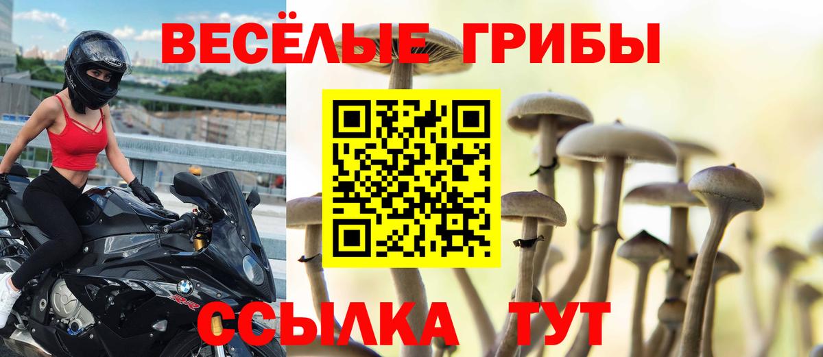 Псилоцибиновые грибы GOLDEN TEACHER Якутск