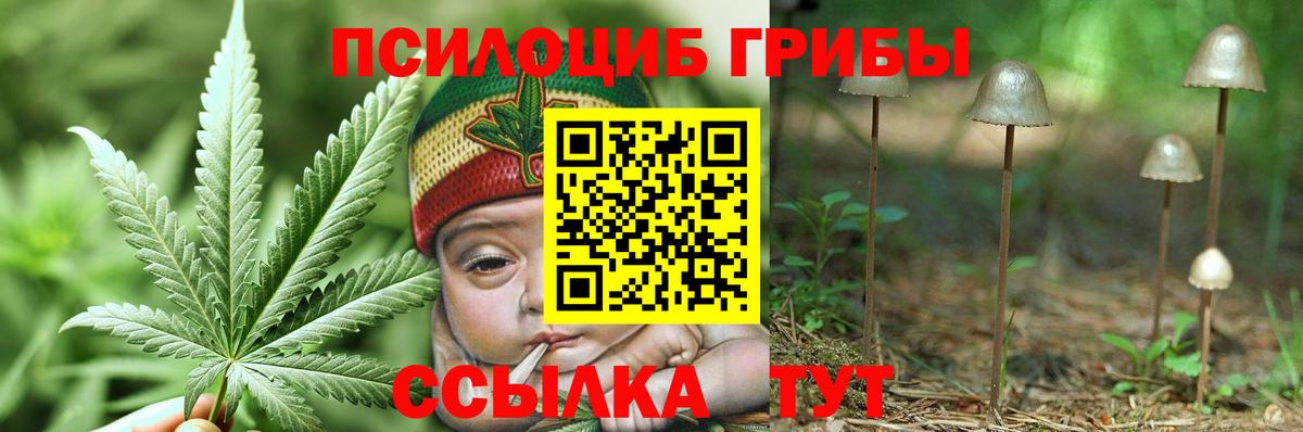Якутск  купить  сайты  Вход с VPN  Галлюциногенные грибы MAGIC MUSHROOMS  Галлюциногенные грибы Psilocybe 